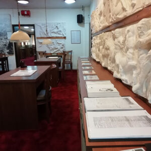 «Ζωφόρος» Ναού Επικούριου Απόλλωνα